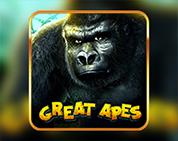 Great Apes